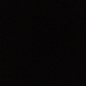 Meet your Posher, Chani